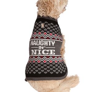 Vibrant Life Large Dog Sweater